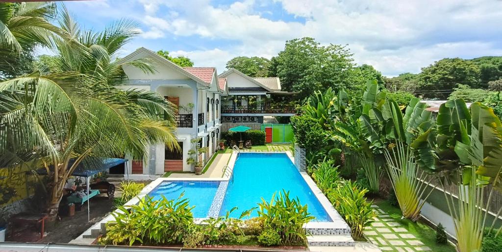Lebanese guesthouse with pool surrounded by palms